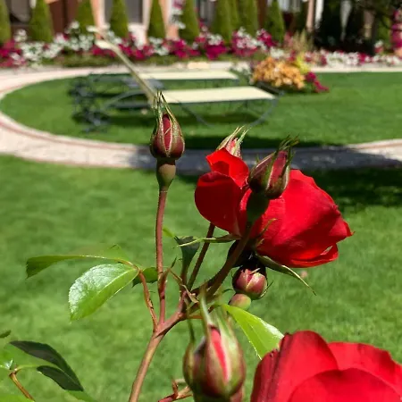 Olimpia Venice, Bw Signature Collection 3sup Hotel Venetië