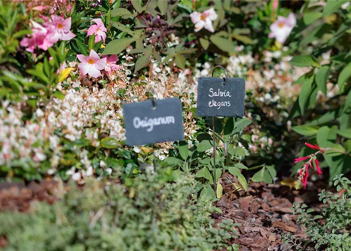 Olimpia Venice, Bw Signature Collection 3sup ホテル