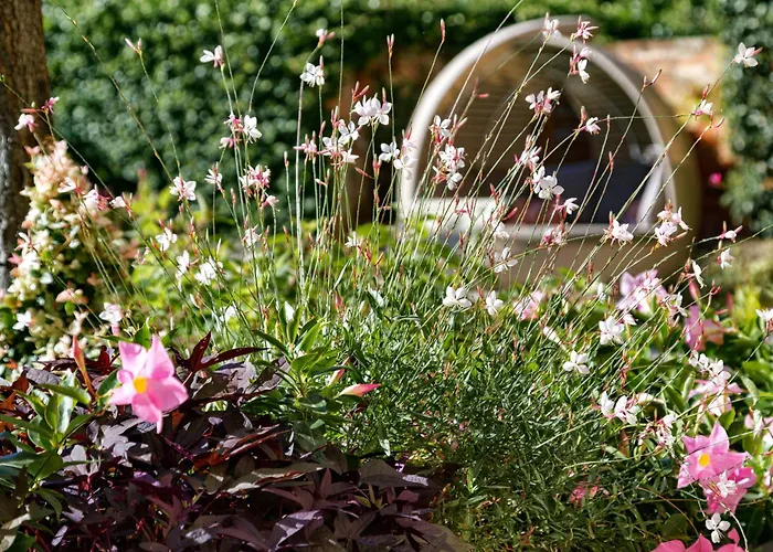 Olimpia Venice, Bw Signature Collection 3sup 3*