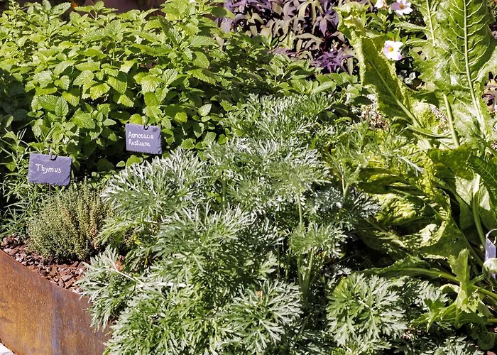 Olimpia Venice, Bw Signature Collection 3sup 호텔 베니스